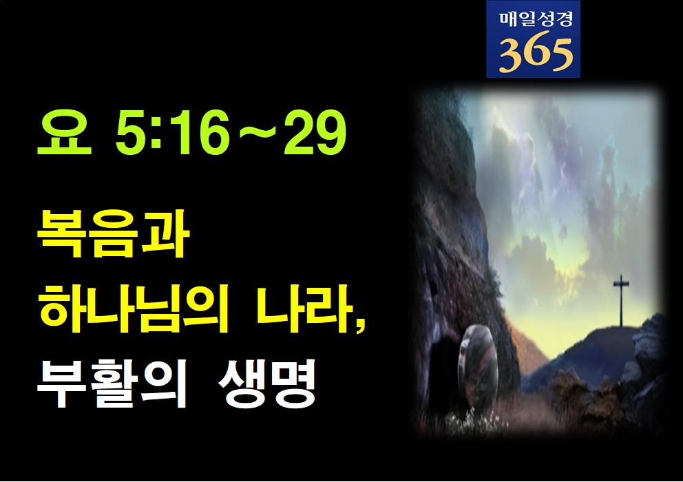 2022년 1월16일 주일[해설]  요5-16-29 복음과 하나님의 나라,부활의 생명002.jpg